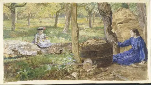 In an Orchard, Devon