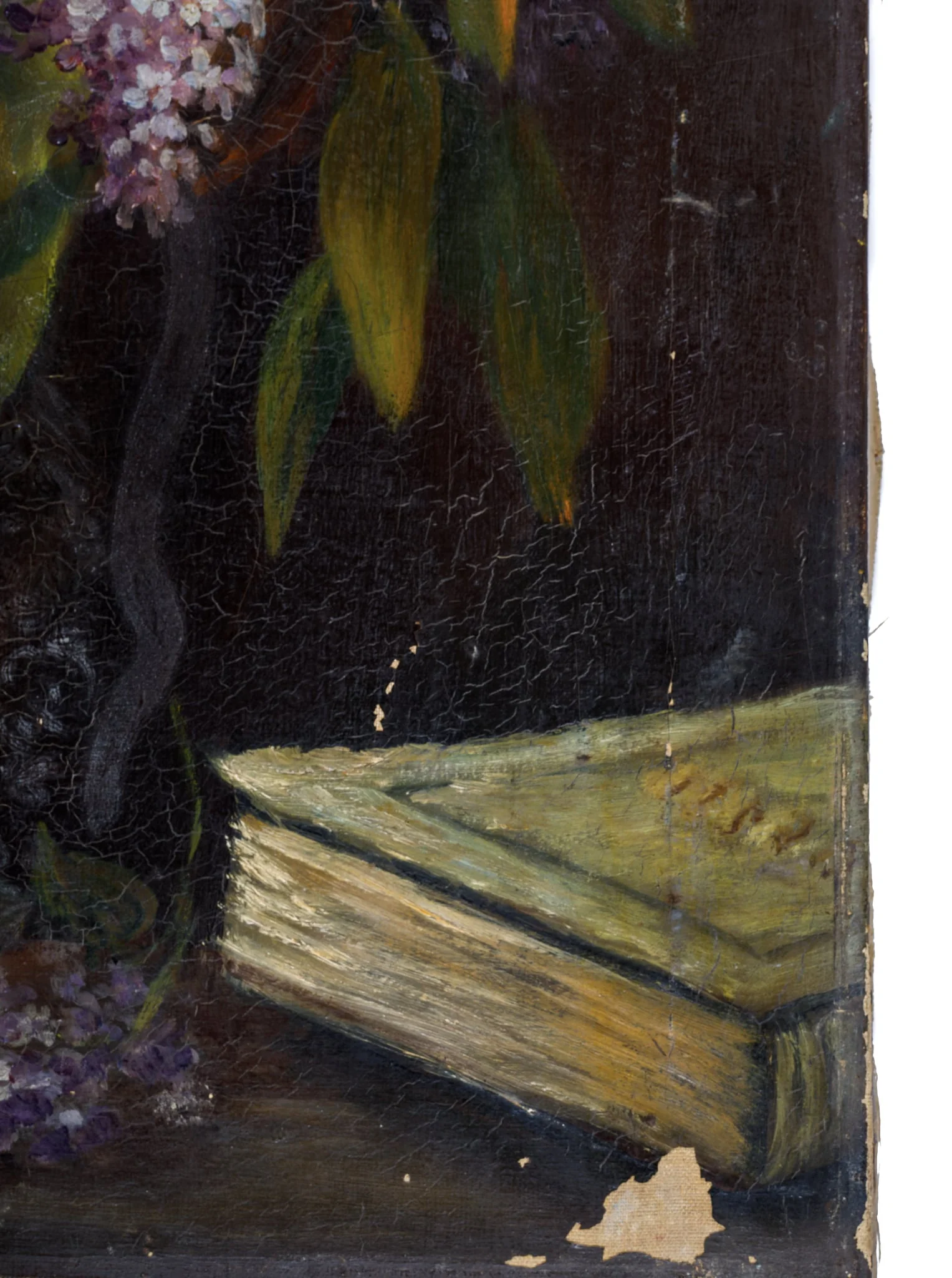 Flori de liliac, by Nennovici Aurelia, unspecified, 1931