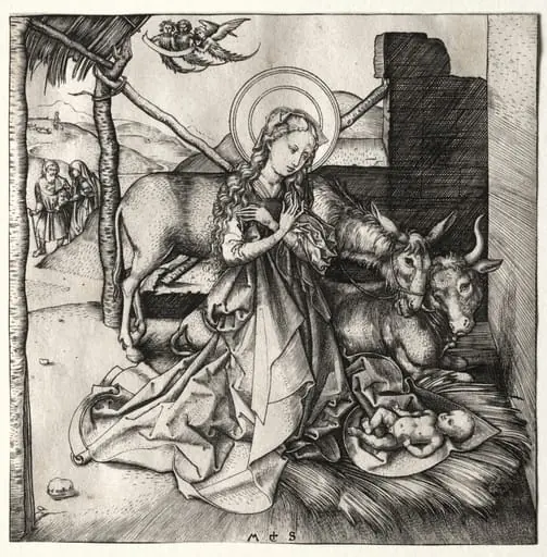 The Life of Christ: The Nativity