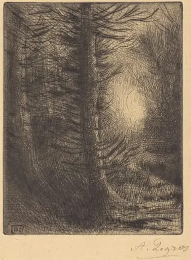 Woods in Winter Sun, 1st plate (Soleil d'hiver dans les bois)