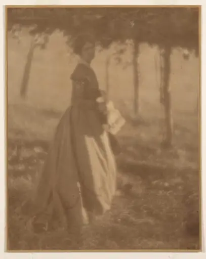 In the Arbor