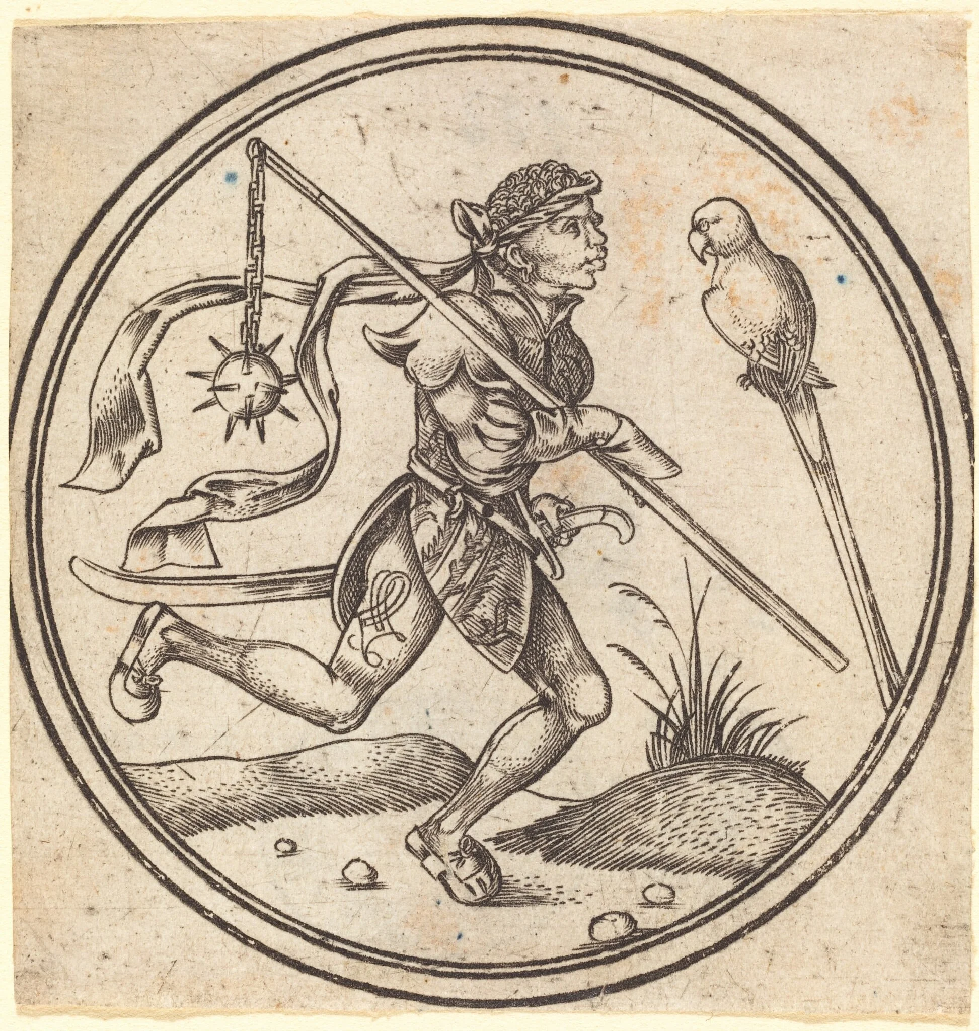 The Jack of Parrots