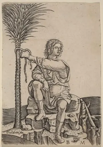 Man Seated by a Palm Tree
