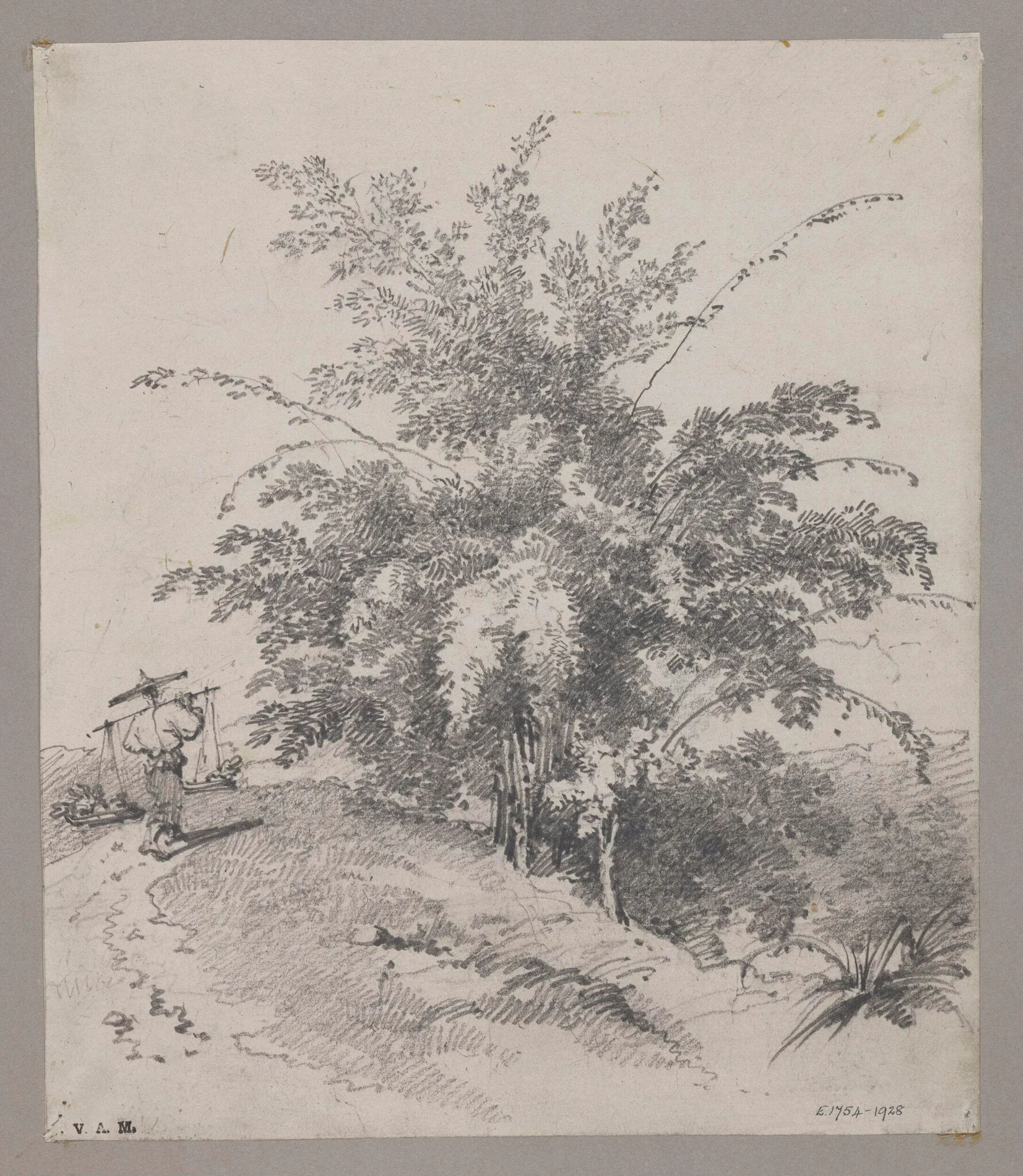 Bamboo tree, by George Chinnery, 19