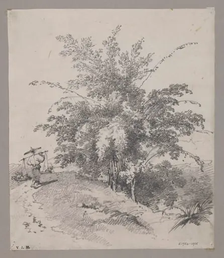 Bamboo tree