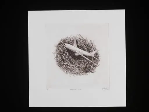 Aeroplane Nest