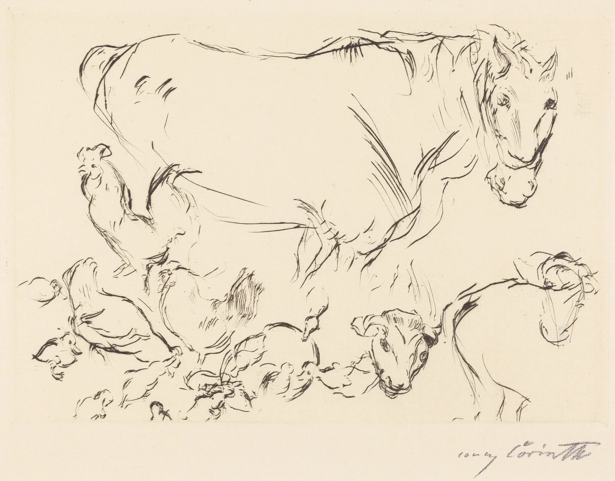 Verschiedene Tierstudien (Animal Studies), by Lovis Corinth, ink, 1917