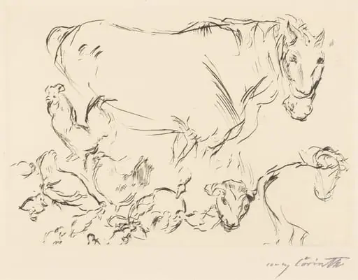 Verschiedene Tierstudien (Animal Studies)
