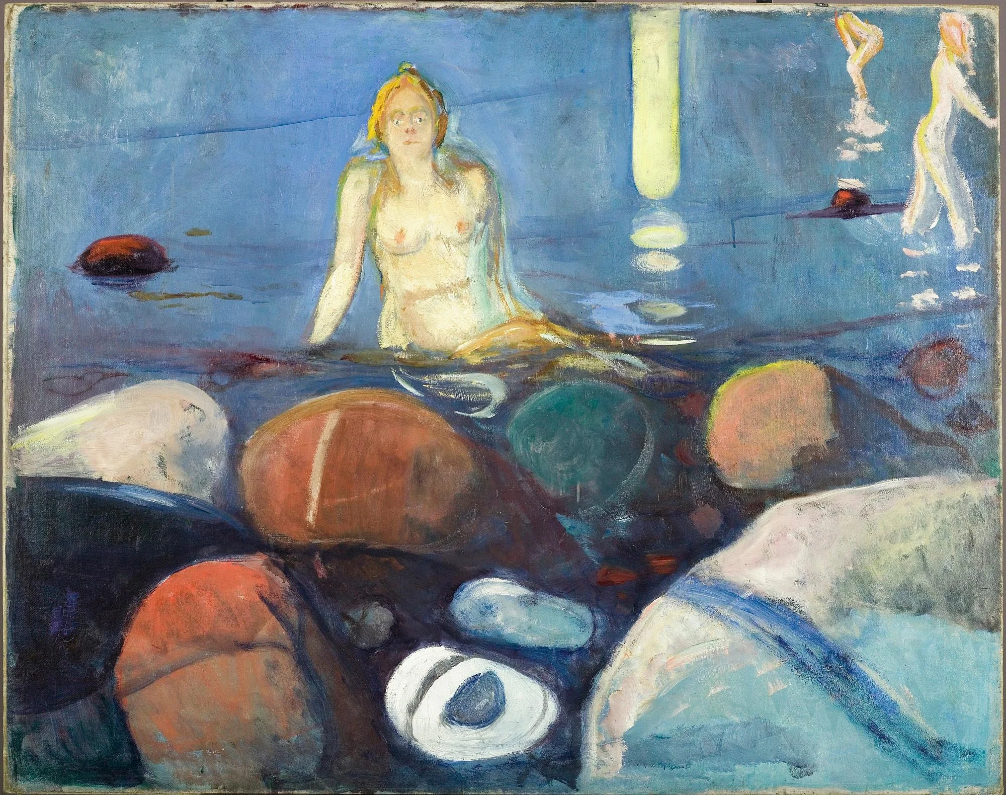 Summer Night. Mermaid