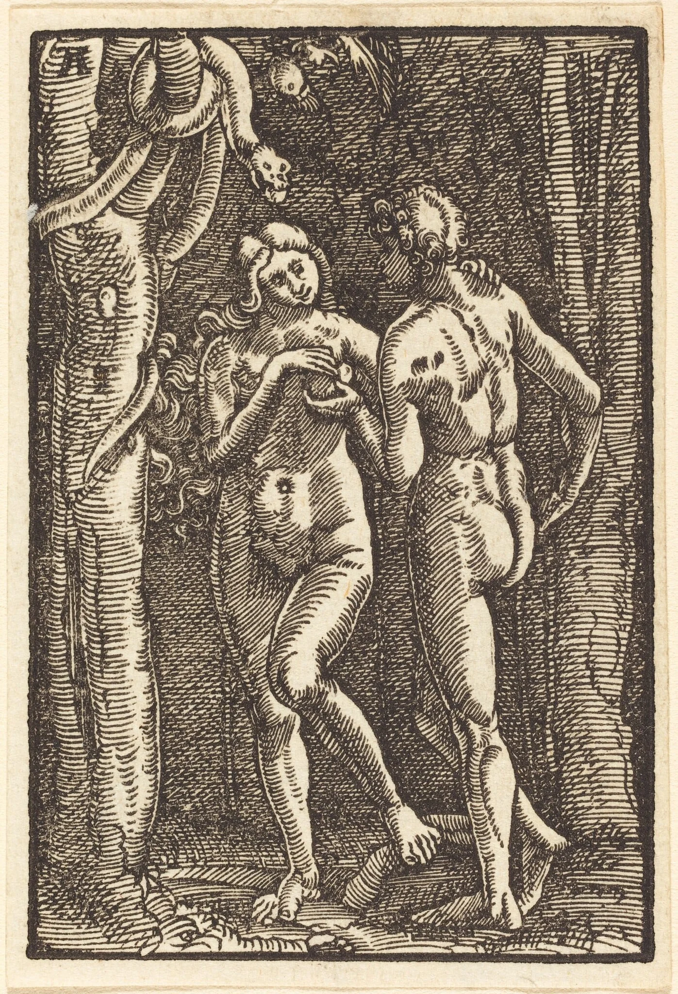 The Fall of Man, by Albrecht Altdorfer, ink, 1513