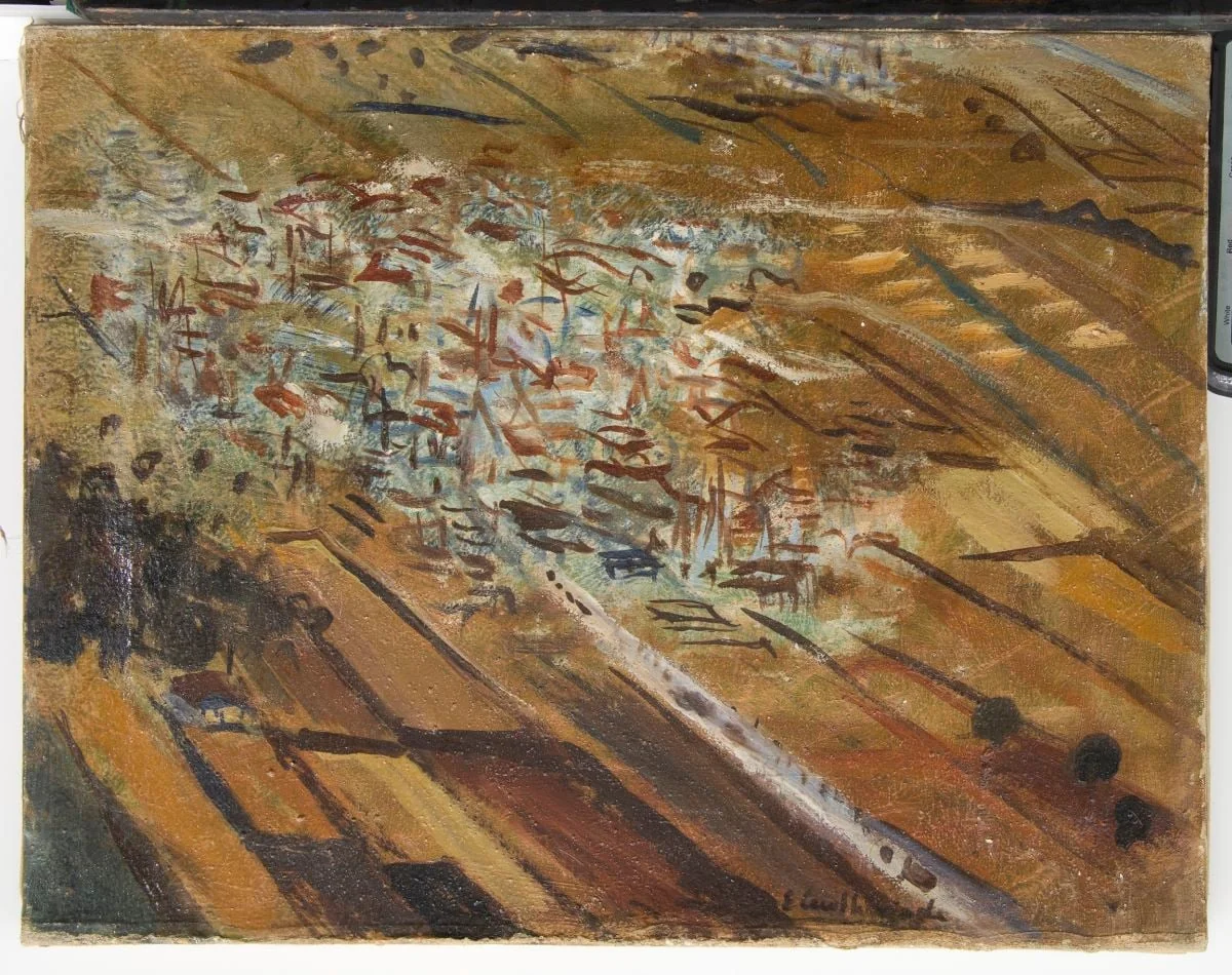 Decolare la Viena, by Micaela Eleutheriade, 1968