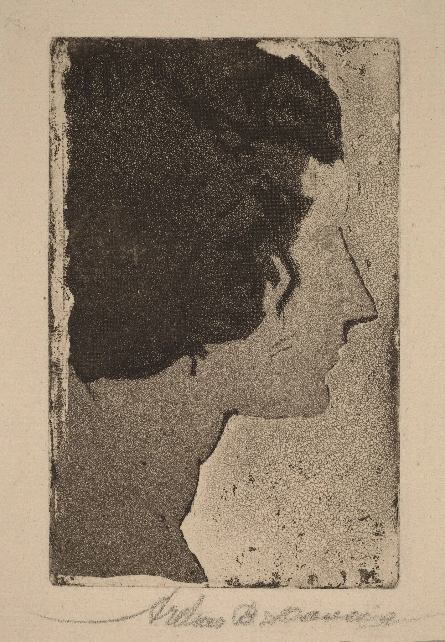 Profile