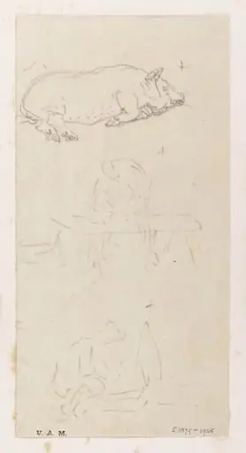 A pig lying on its side
