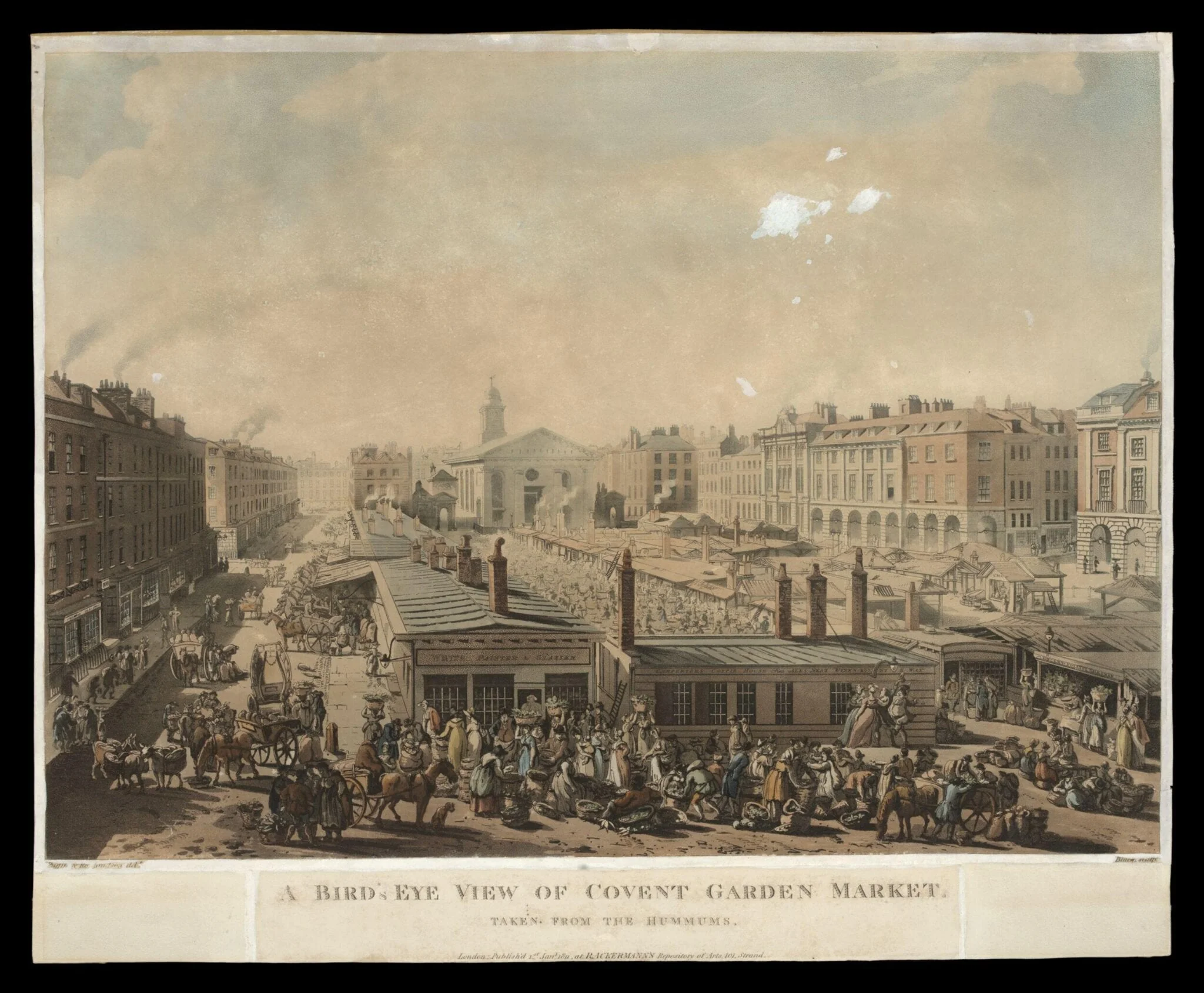 H Beard Print Collection, by J. Bluck, 1