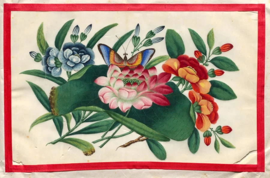 Painting Two from Illustrated Book of Flowers and Butterflies, by Unknown, unspecified, 1804