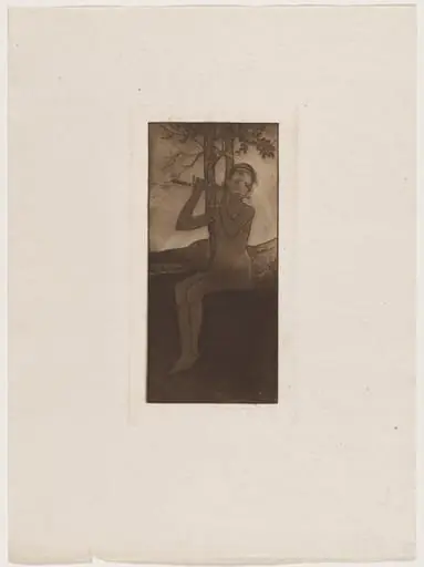 Le chant de la cigale