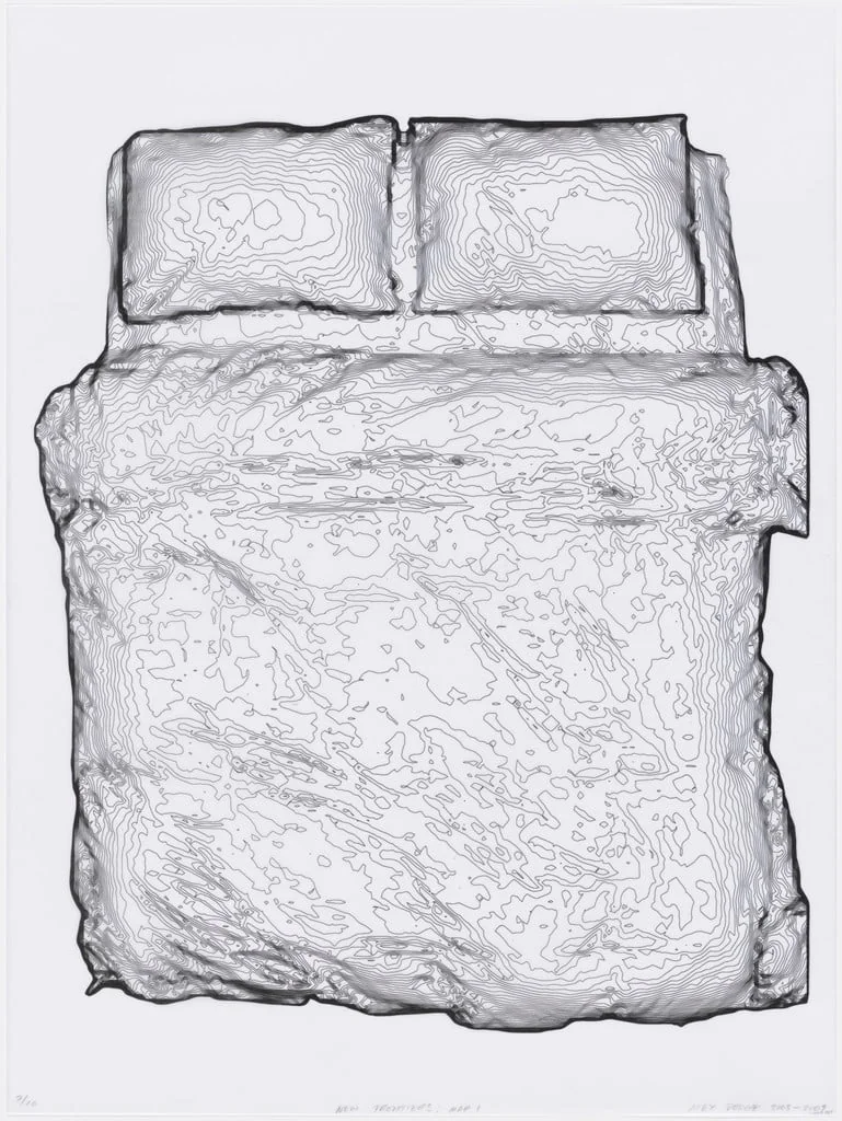 Untitled, by Alex Dodge, 2006