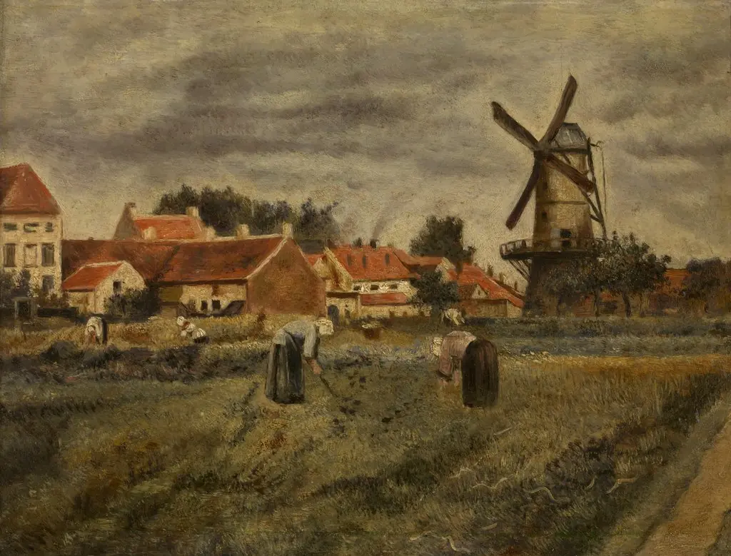Harvesting Potatoes