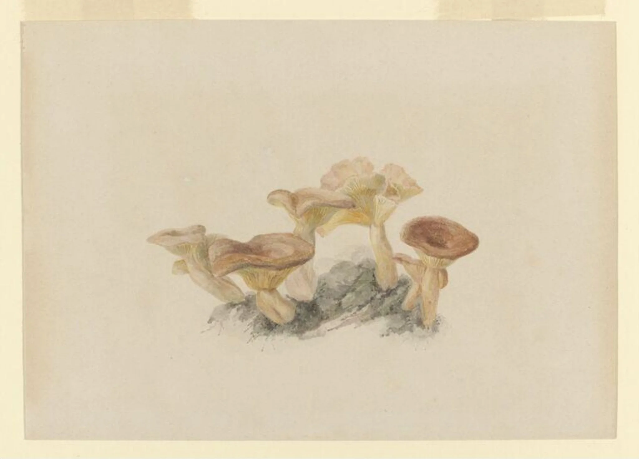 Untitled, by Beatrix Potter, watercolor, 1885
