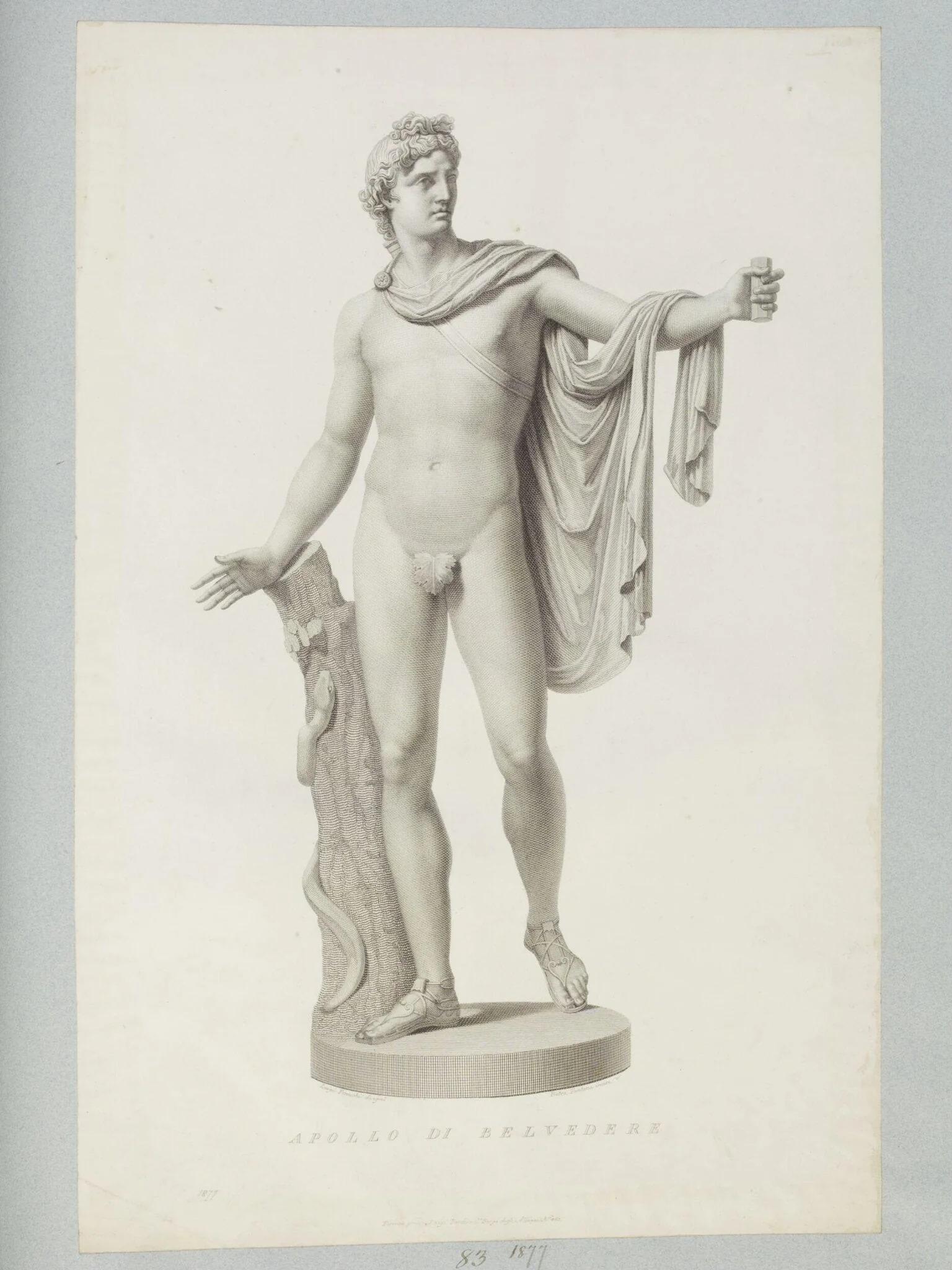 Apollo di Belvedere, by Pietro Fontana, 1850