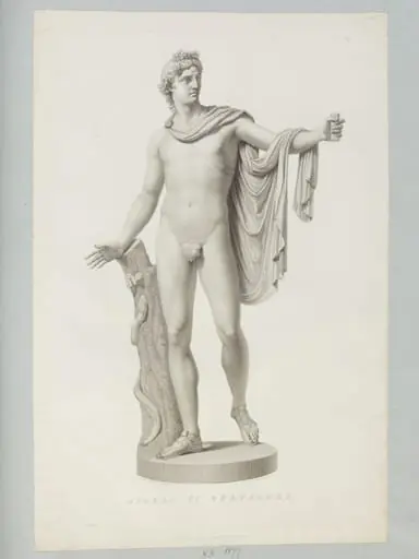 Apollo di Belvedere