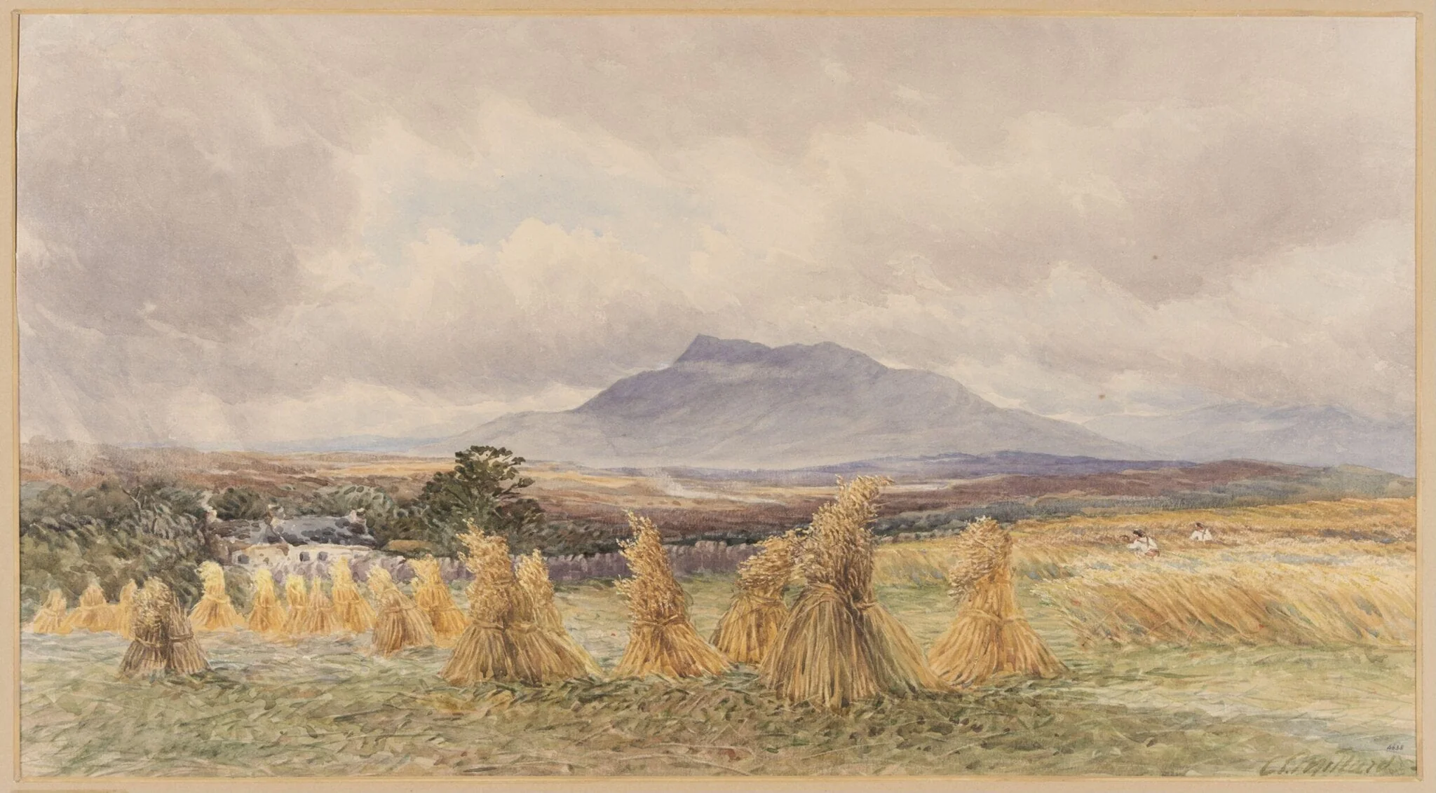 Moel Siabod, from Capel Garmon
