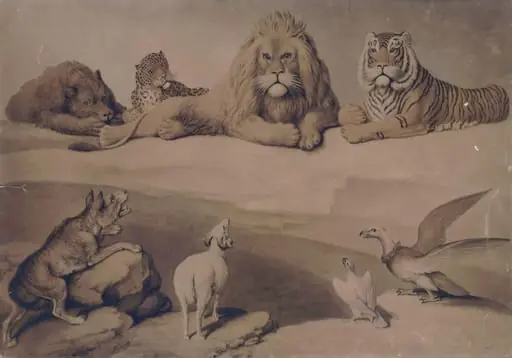 A Council of Animals