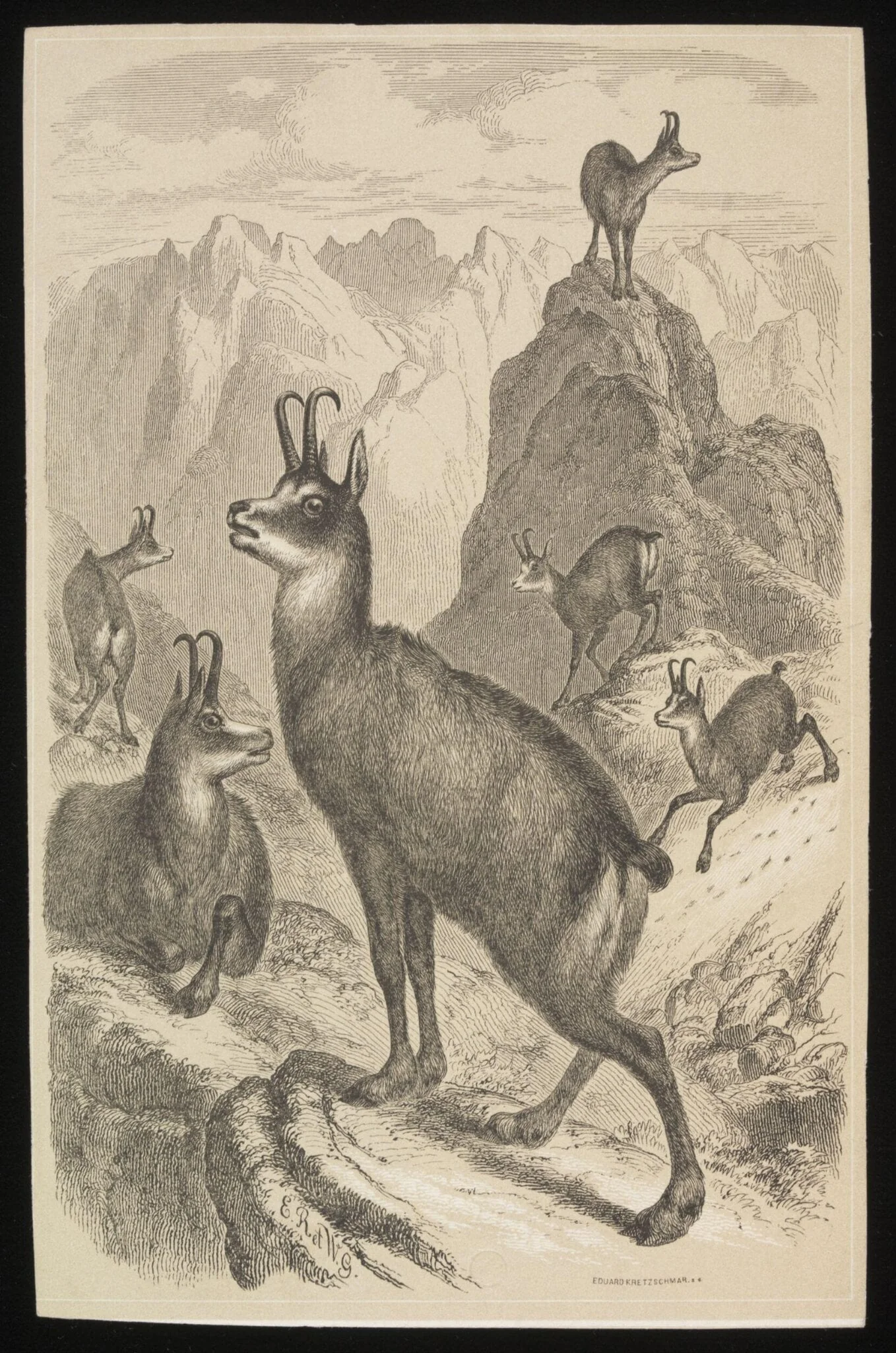 Untitled, by Eduard Kretzschmar, 1850