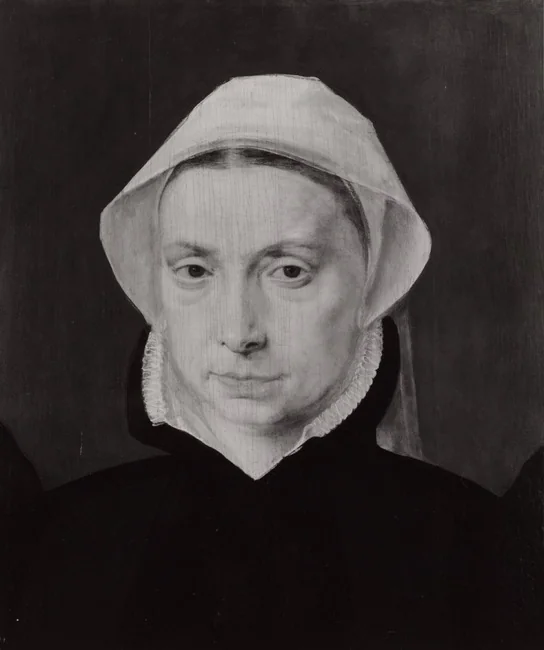 Portrait of an unknown woman, by Willem Key, oil, 1562