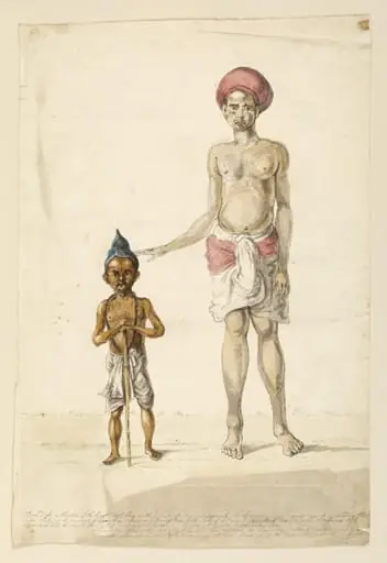 A dwarf