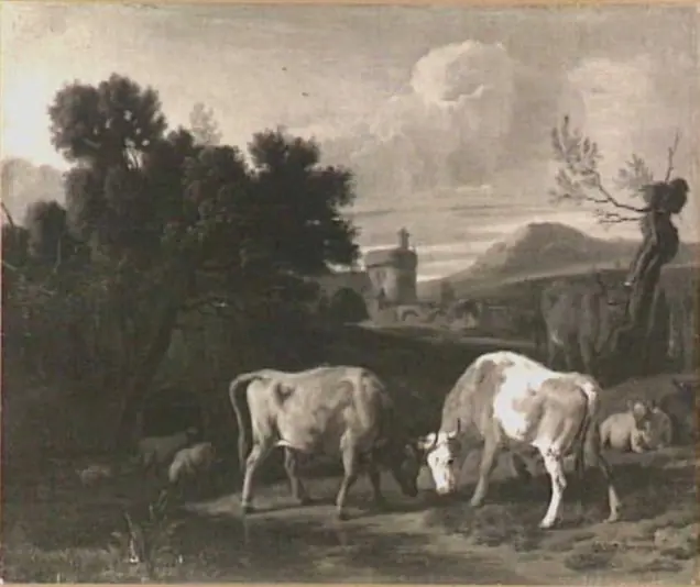 landscape with fighting bulls