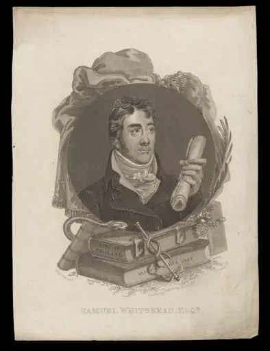 H Beard Print Collection