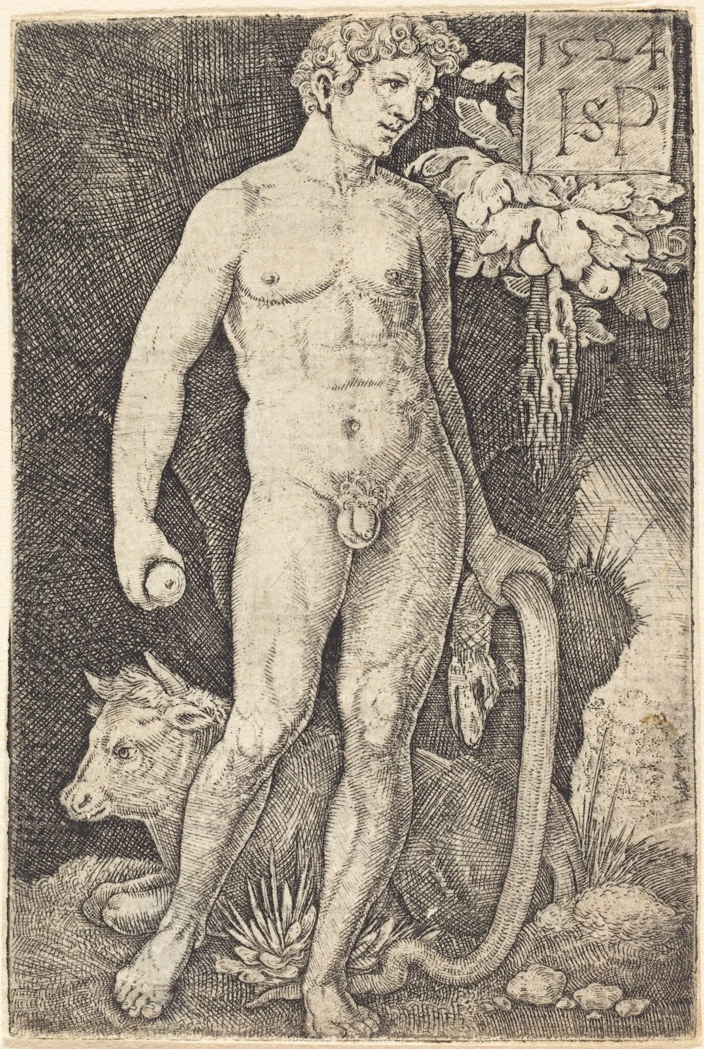 Adam Standing, by Sebald Beham, ink, 1524