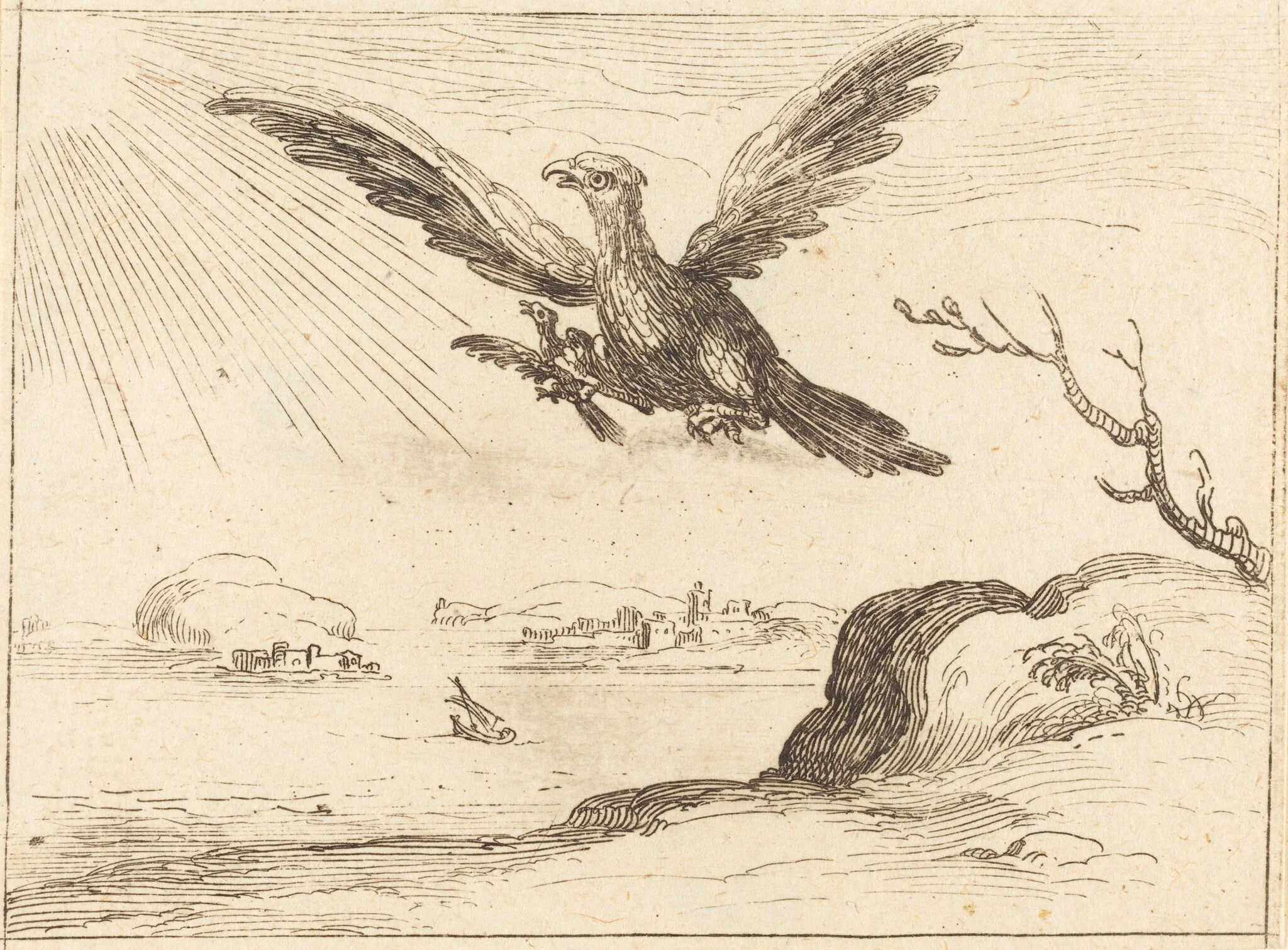 Eagle and Young