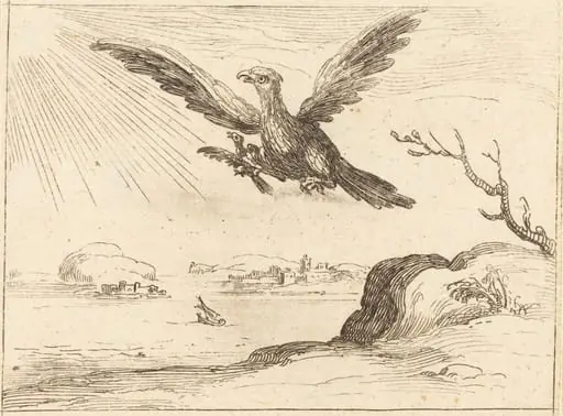 Eagle and Young