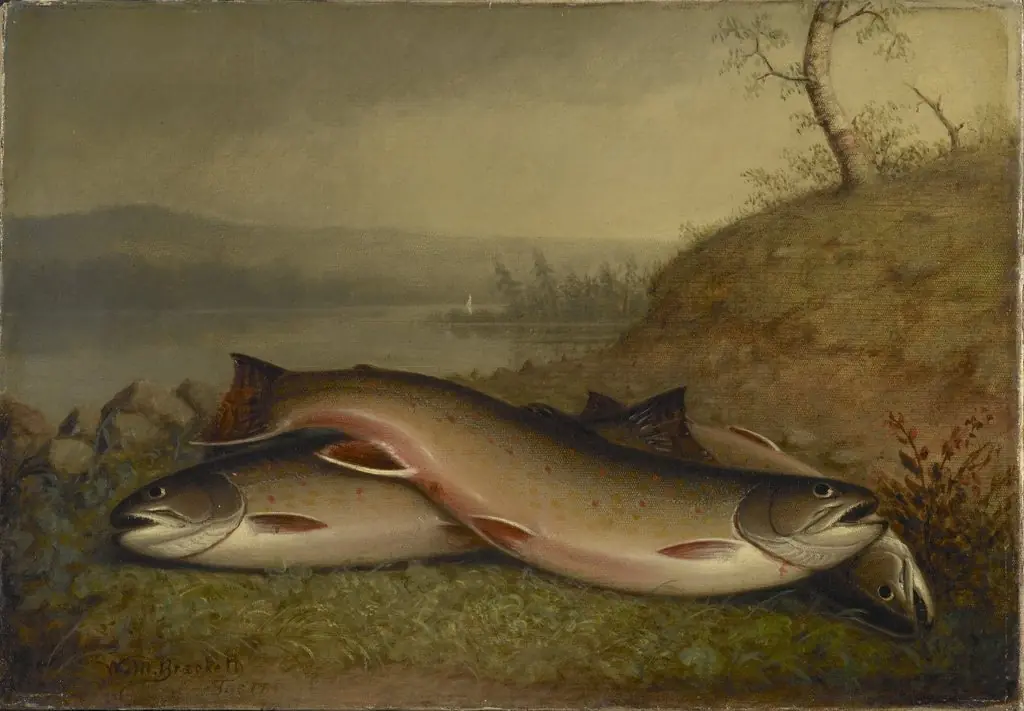 Trout