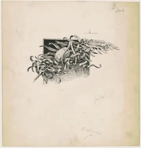 Hammer and Compass