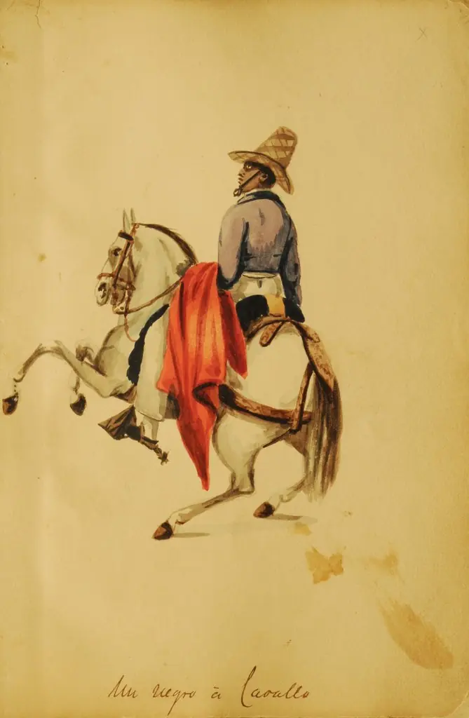 A Negro on horseback