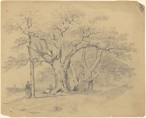 By the Old Oak Trees