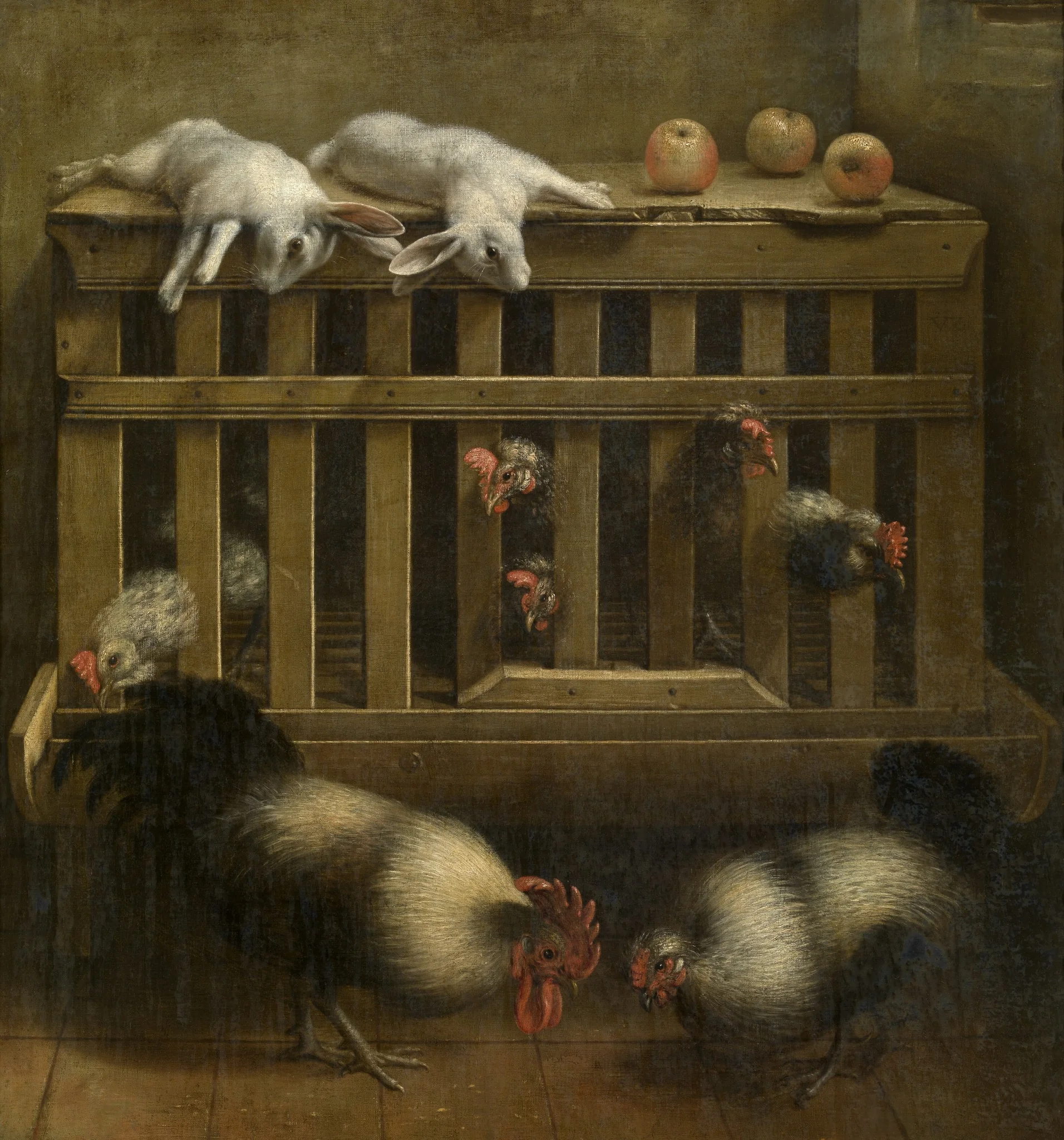Fighting Cocks