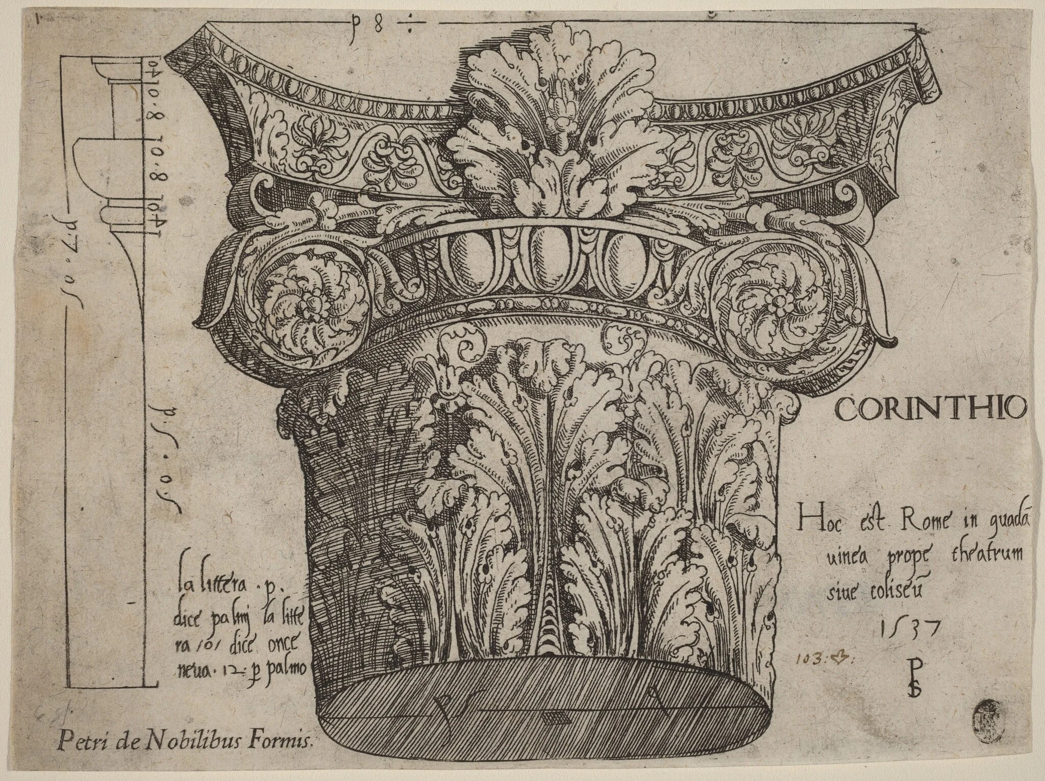 Capital from the Colosseum, Rome, by Pseudo-Pier Francesco Fiorentino, ink, 1537