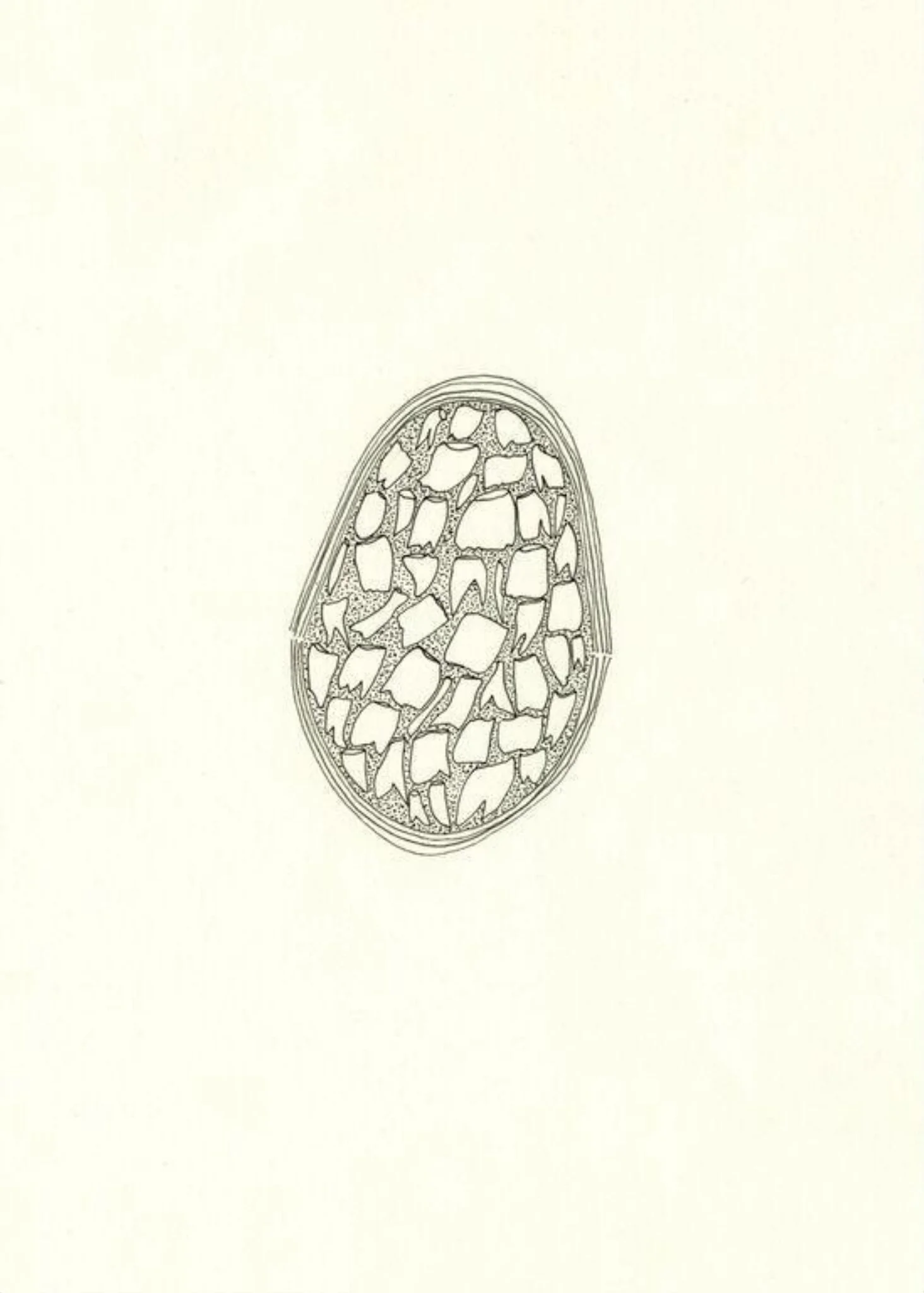 Untitled (Mouth), by Claudia Sarnthein, 2005