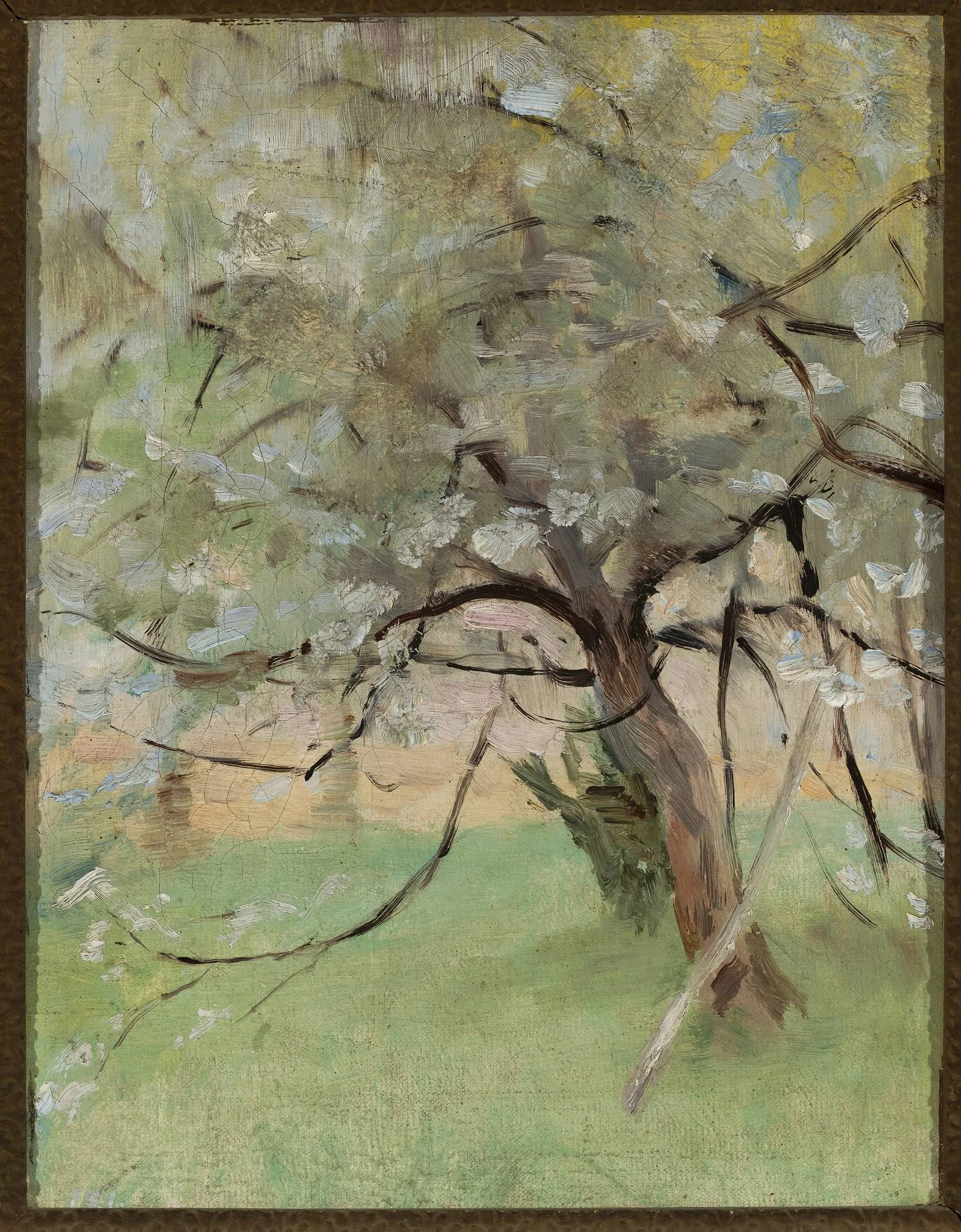 Apple tree