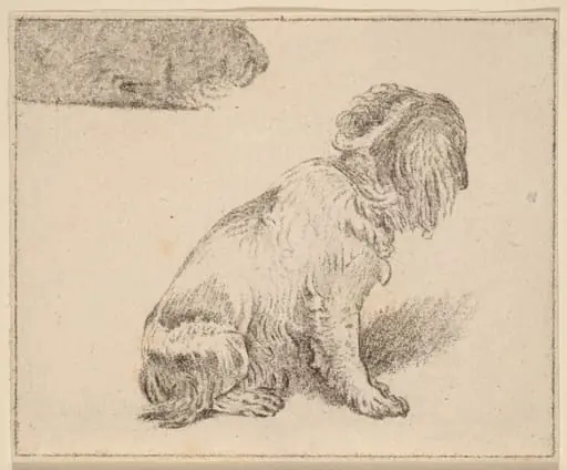 Seated Dog