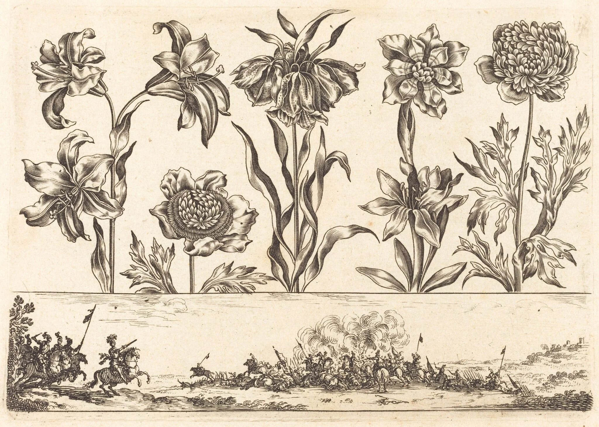 Flower Print no.8