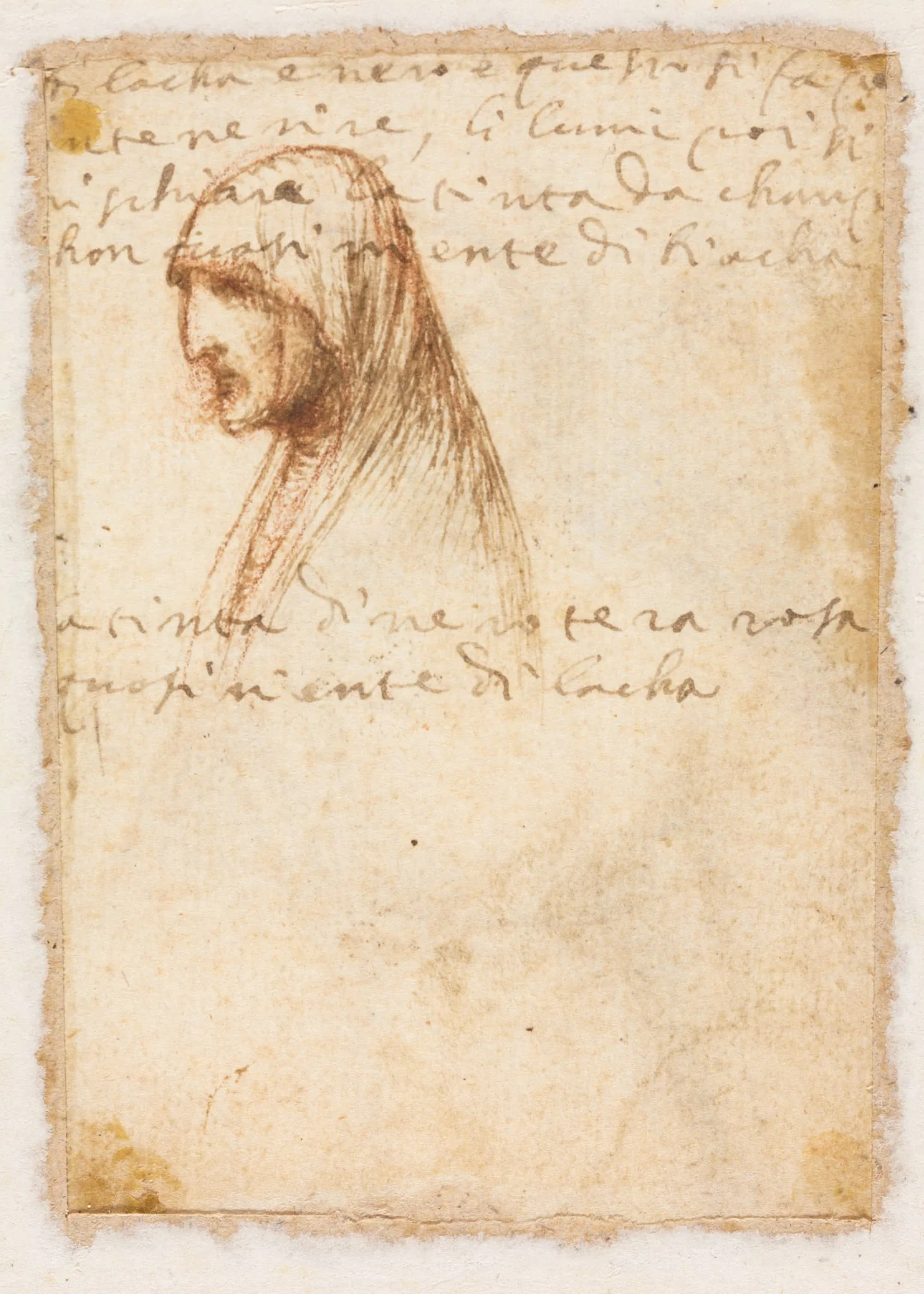 Bust-Length Profile of an Old Woman (verso), by Dosso Dossi, 1521
