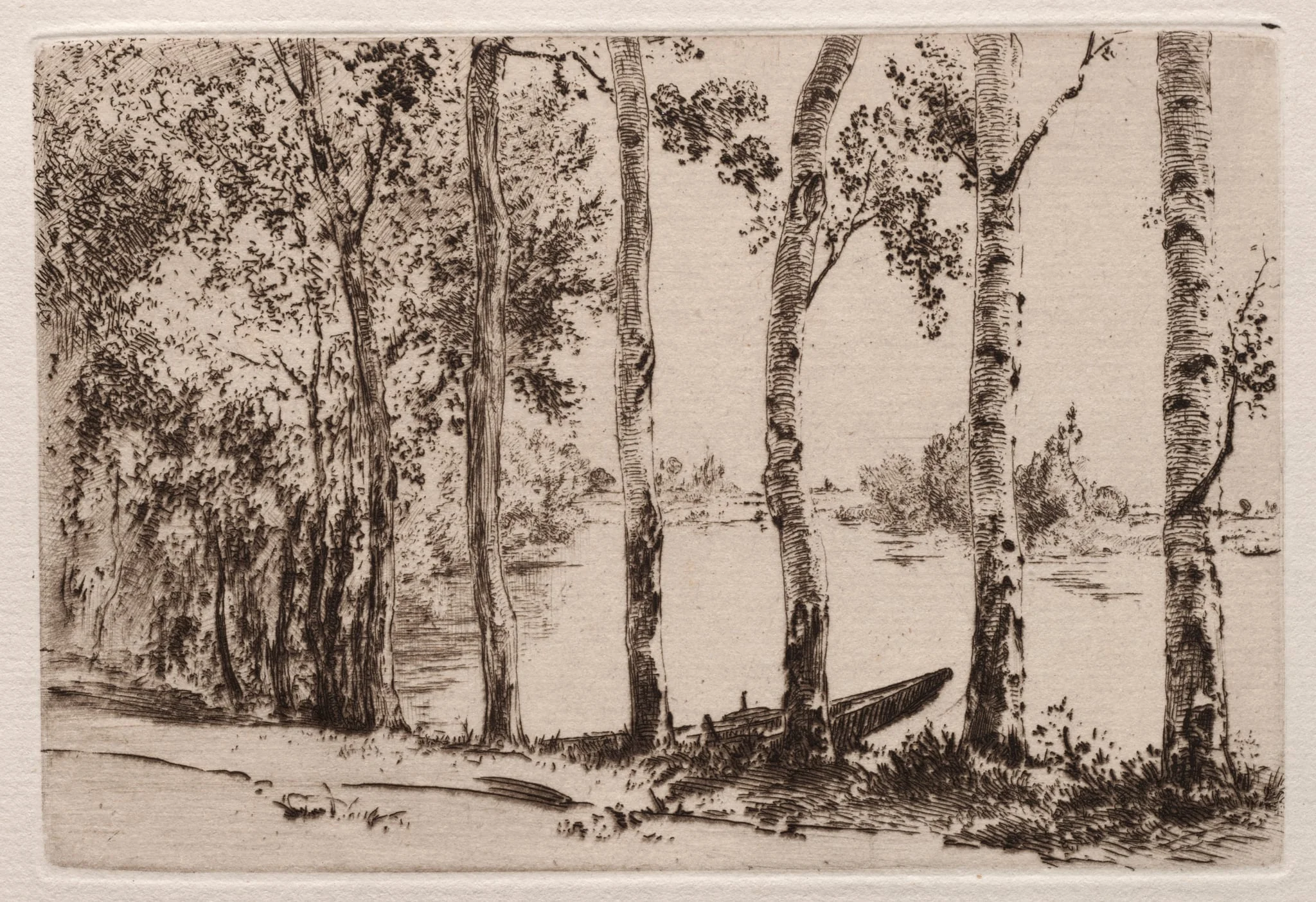 Aspens on the Bank of the Seine, by Félix Bracquemond, 1884