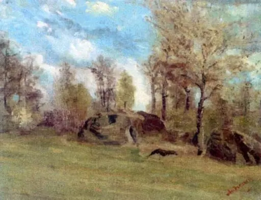 Stânci în pădure