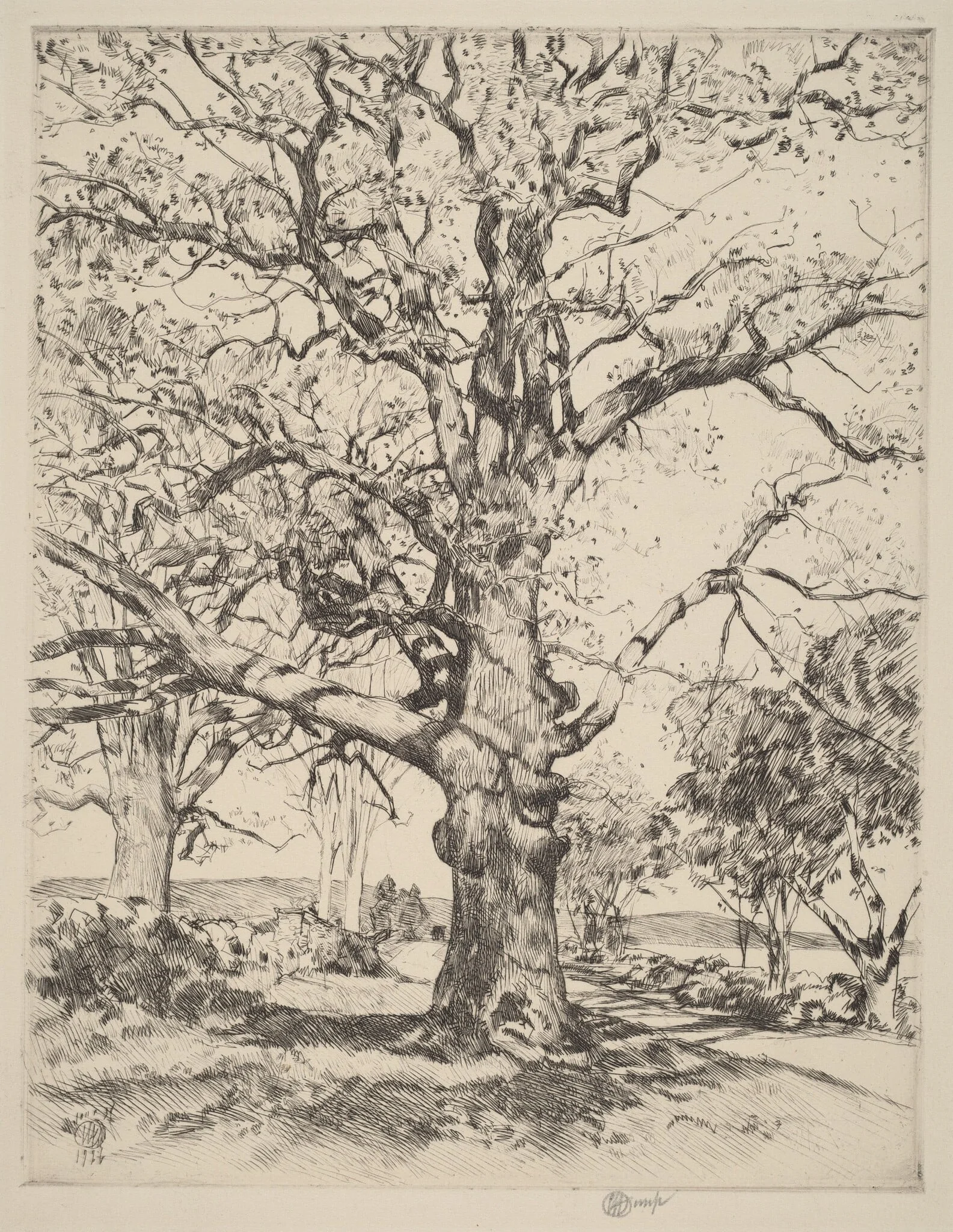 Wayside Inn—Oaks in Spring, by Childe Hassam, ink, 1926