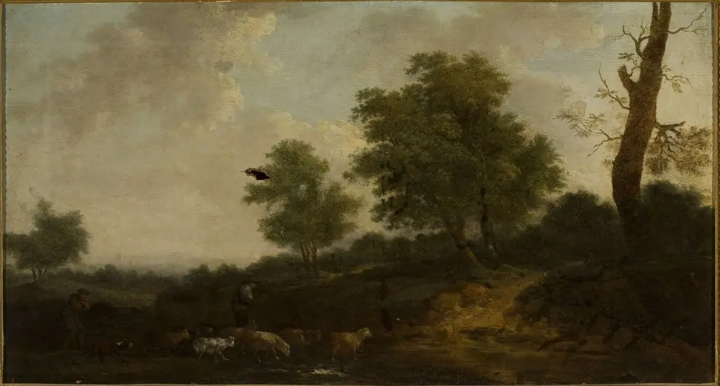 Forest landscape